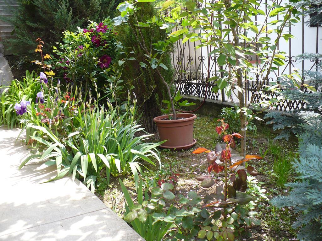 Kitty Apartman Apartment มิชโคลซ์ ภายนอก รูปภาพ